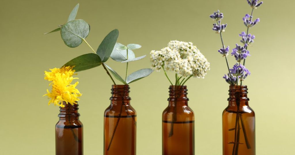 Aromatherapie Das Bild zeigt 4 braune Gläser, in denen jeweils ein Trieb einer aromtischen Pflanze.