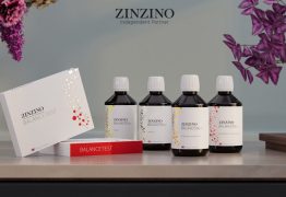 Zellgesundheit mit Produkten von BalanceConcept